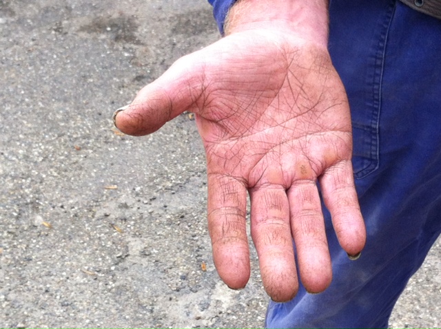 Boerenhand
