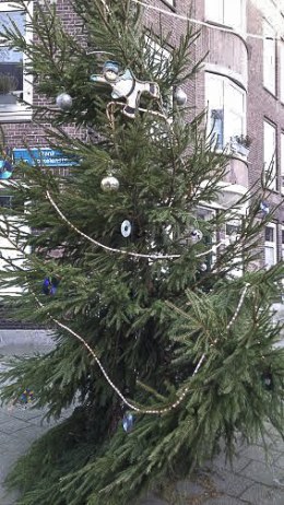 Opzoomeren, kerstbomen