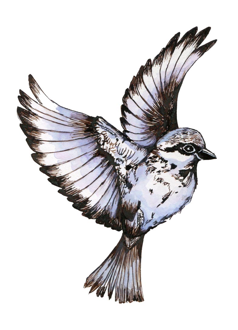 vogelversbeton